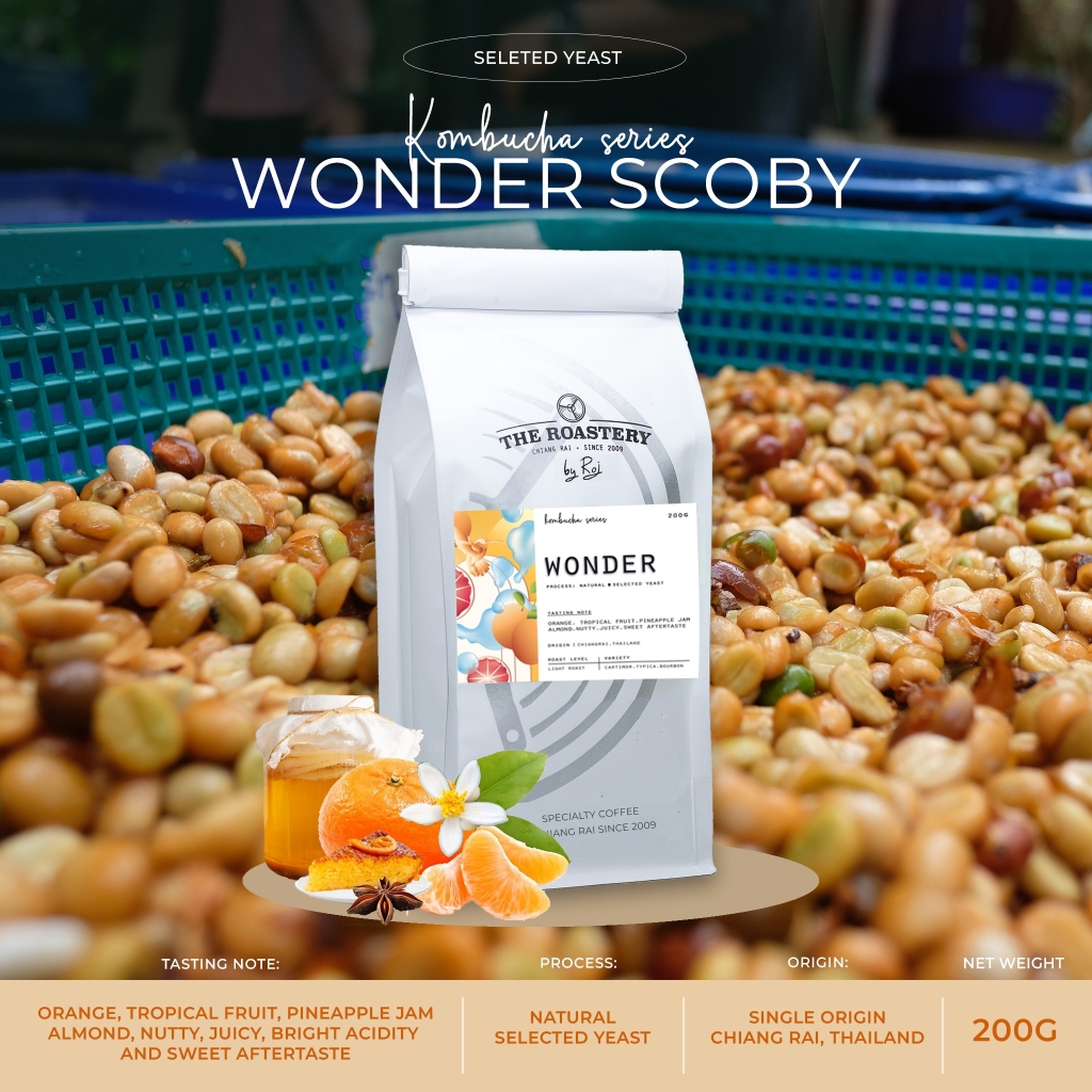 Wonder I Kombucha Yeast