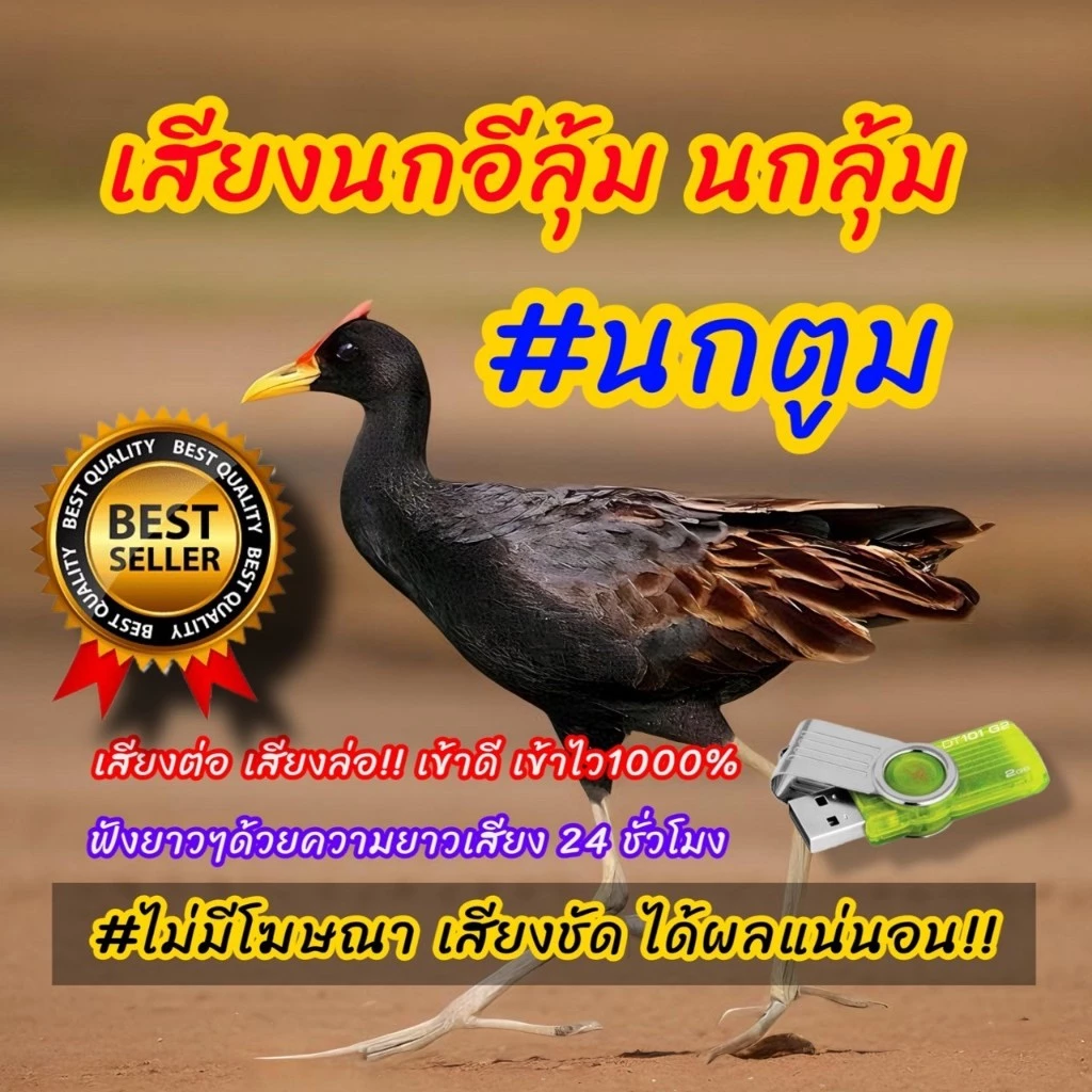 เสียงนกอีลุ้ม นกตูม เข้าเร็วเข้าไว ตัดเสียงรบกวนแล้วเสียงคุณภาพดีเยียม 010
