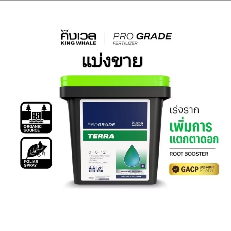 Terra king whale เร่งรากแตกตาดอก แบ่งขาย