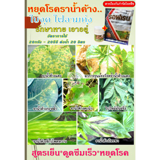 รักษาราใบจุด ราน้ำค้าง  แตง แคนตาลูป เมล่อน มะเขือเทศ และฟัก…