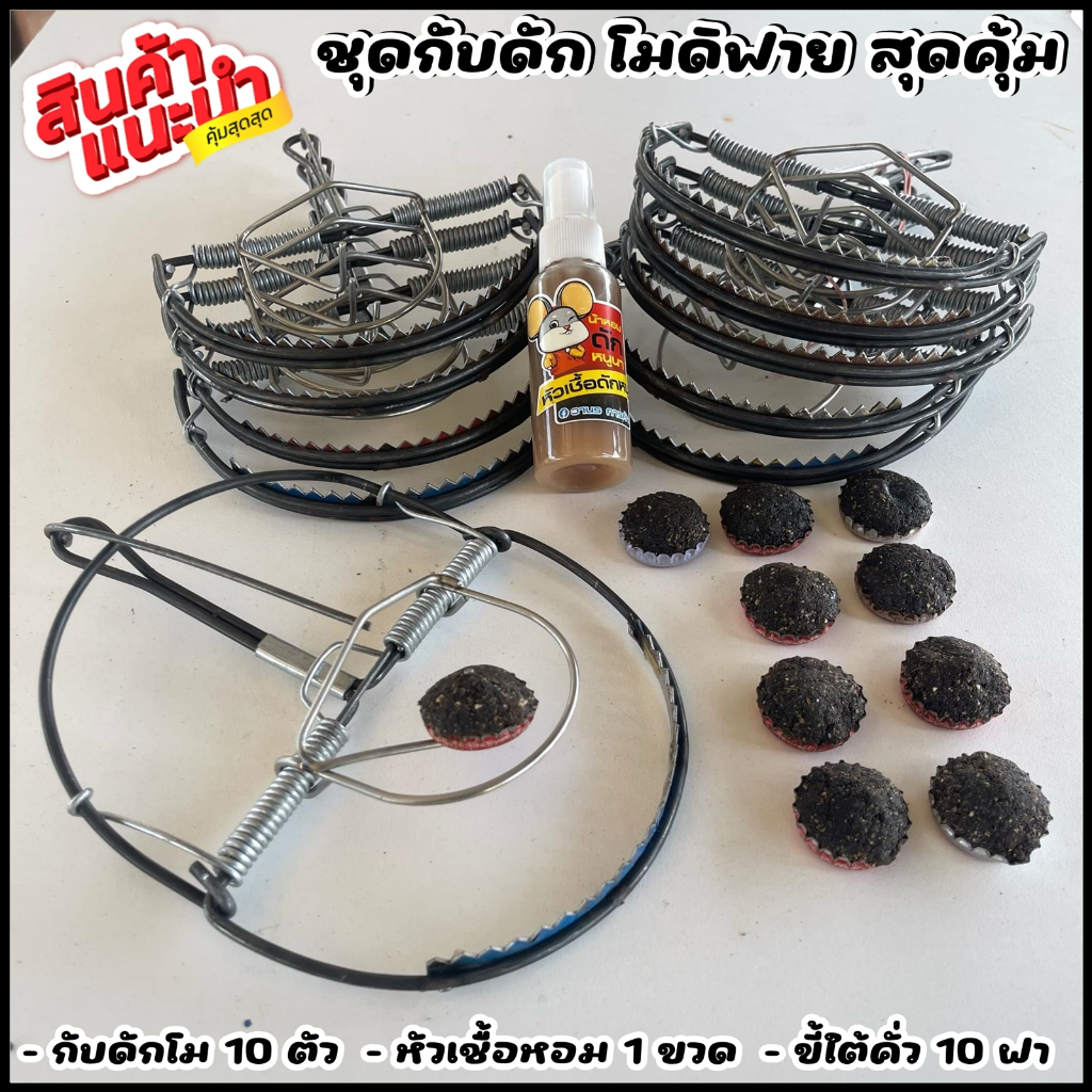 ชุดกับดัก 6นิ้ว โมดิฟาย สุดคุ้ม ขี้ใต้+หัวเชื้อ (ตัวโม งานสแตนเลส)