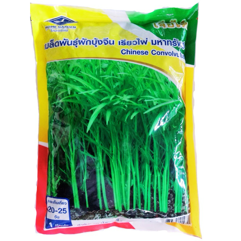 เมล็ดพันธุ์ผักบุ้งจีนเรียวไผ่มหาทรัพย์(Chinese Convolvulus) 1 กิโลกรัม ล็อตใหม่หมดอายุ12/69