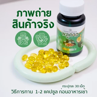 Mall-[ตะกล้าบริษัท] SN9พลูคาวสกัดเย็น พลูคาว คาวตอง SN9 Plus Plu kaow แบรนด์SN9