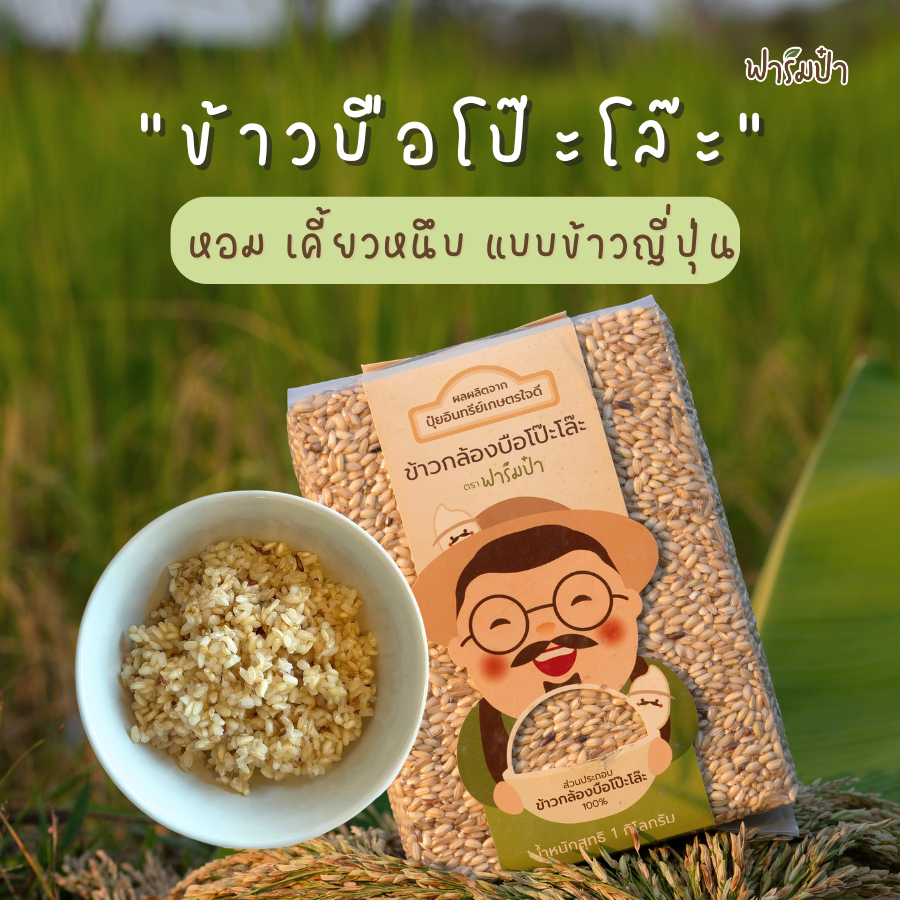 ข้าวบือโป๊ะโล๊ะอินทรีย์ ข้าวดอย ข้าวปะกาเกอะญอ - 1 กิโลกรัม ฟาร์มป๋า