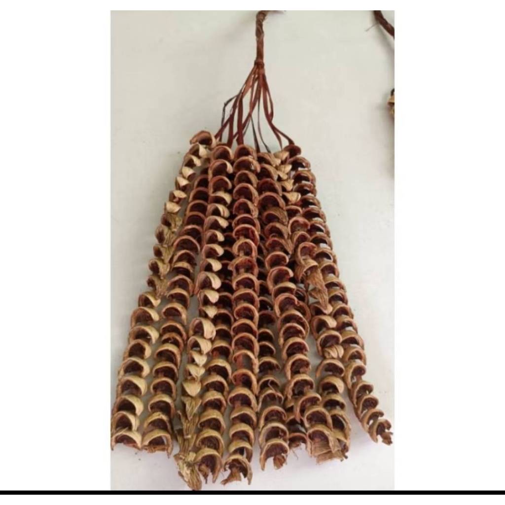 หมากเสียบ หมากสาย หมากโบราณ (1 มัดมี 10 เส้น) ของมีพร้อมส่ง