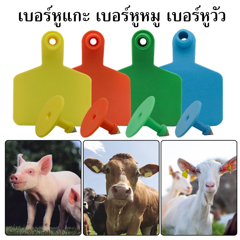 ป้ายหูวัว เบอร์หูวัว ป้ายสุกร และแพะ เบอร์หูทำประวัติสำหรับสัตว์ วัสดุPU อย่างดี 20 ป้าย