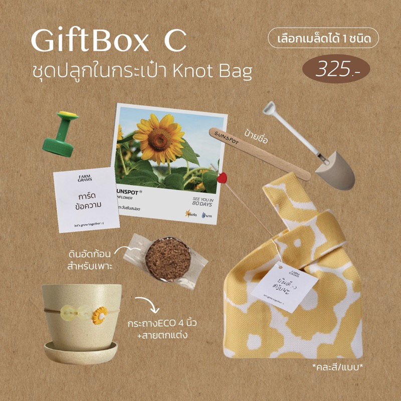 Giftbox C | ชุดปลูกพร้อมกระเป๋าผ้า*คละสี/ลาย* ทั้งน่ารัก-นำไปใช้ต่อได้ด้วย!