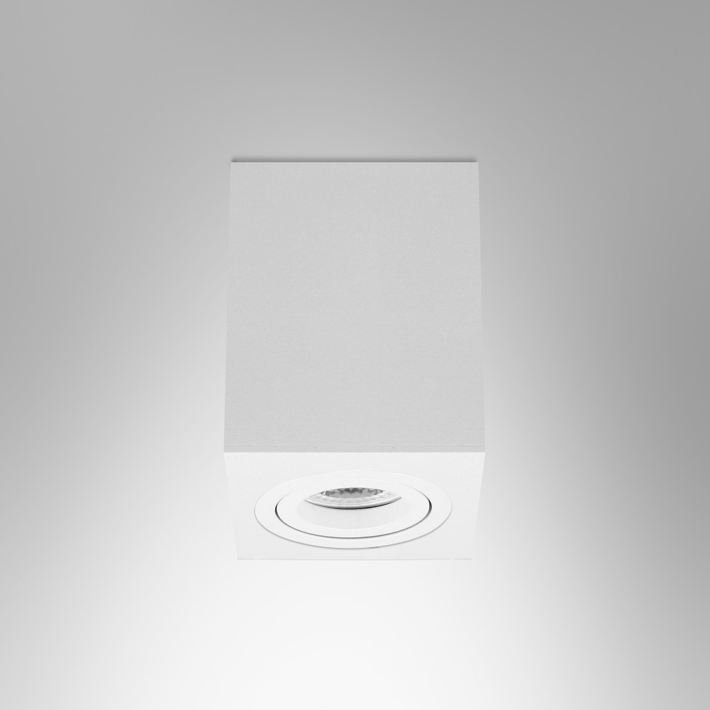 โคมลอยดาวน์ไลท์,L&E#SSAP91/WH-1xPAR16 GU10