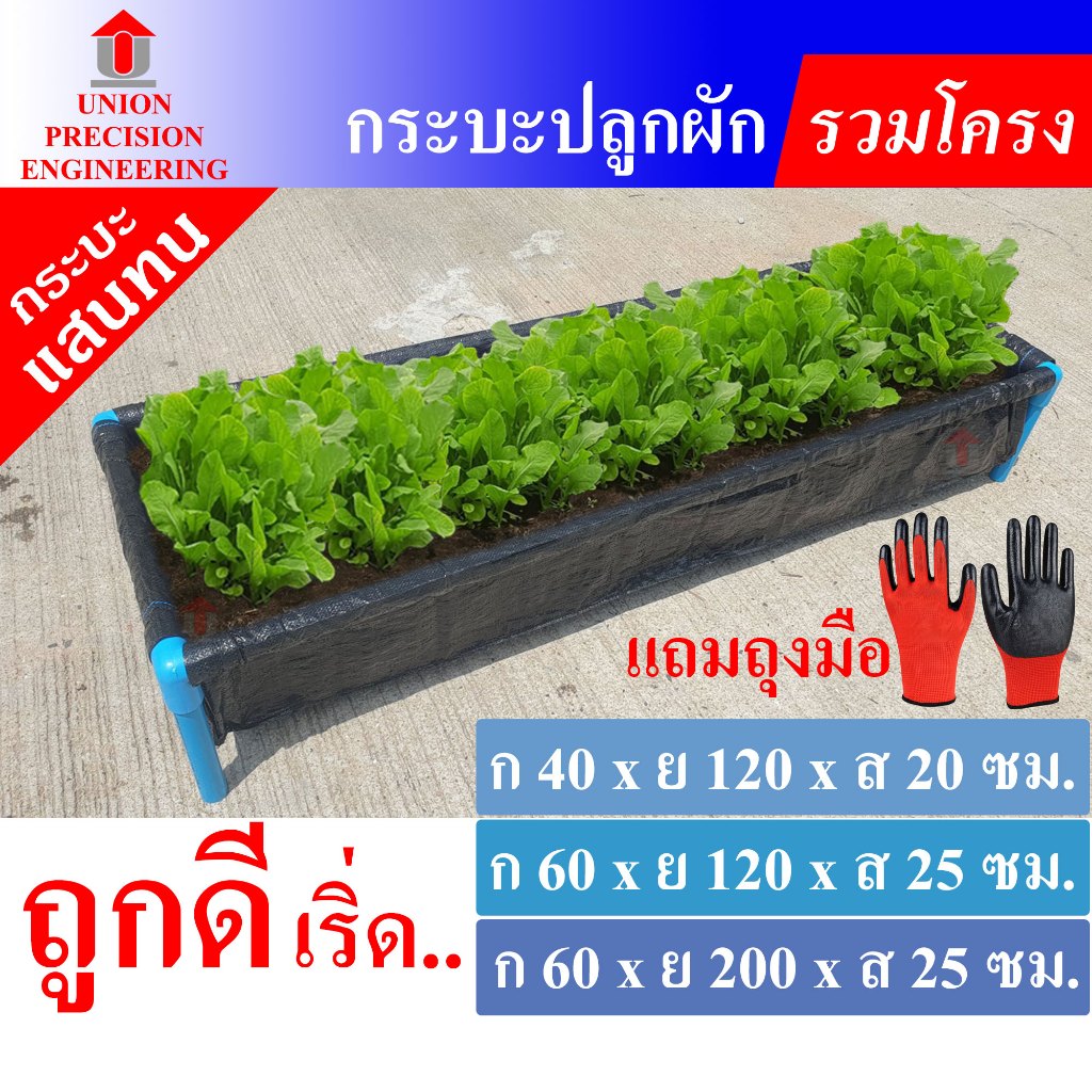 Union กระบะปลูกผัก ( แสนทน ) กะบะ แปลงปลูกผัก กะบะปลูกผัก แปลงผัก กะบะใส่ดินปลูกต้นไม้