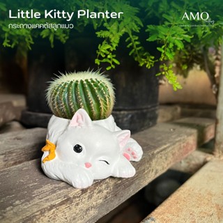 กระถางแคคตัส กระถางแมวน่ารัก กระถางต้นไม้ขนาดเล็ก กระถางรูปแ…