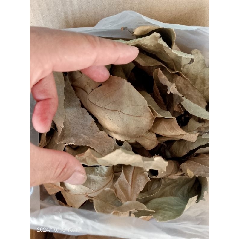 ใบกรวยป่า ออร์แกนิค ใบแห้ง( 50ใบ/..39บาท) สำหรับหมักปลากัด