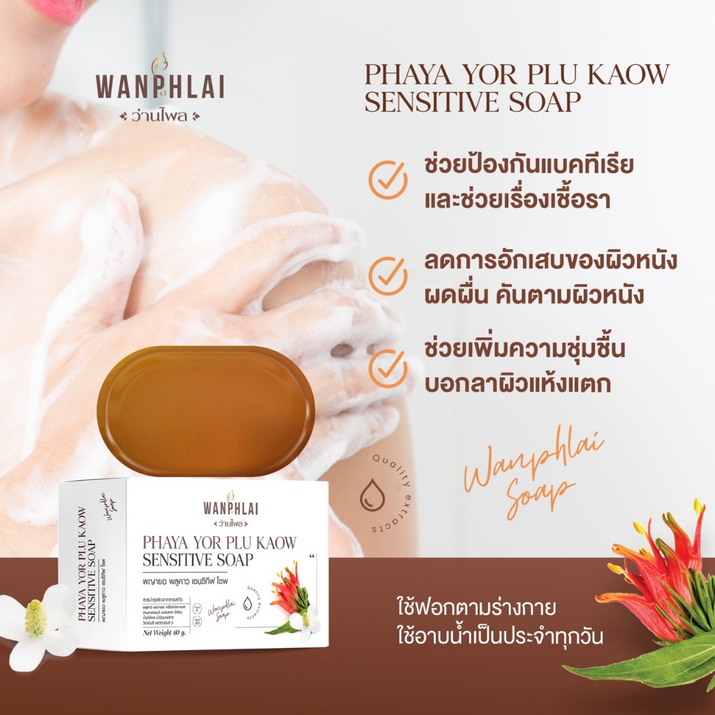 สบู่พญายอ พลูคาว แก้คัน น้ำเหลืองเสีย แก้สิวเม็ดผดผื่นคัน รักษาเริม งูสวัด ขาลาย ผิวเป็นขุย