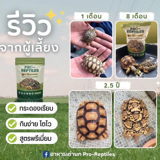 (ใช้โค้ดคุ้ม) [กระสอบ] Pro-Reptiles อาหารเต่าบก เต่าชูคาต้า พรีเมียม Basic ทานง่าย ชูลคาต้า Original / Premium 10 kg