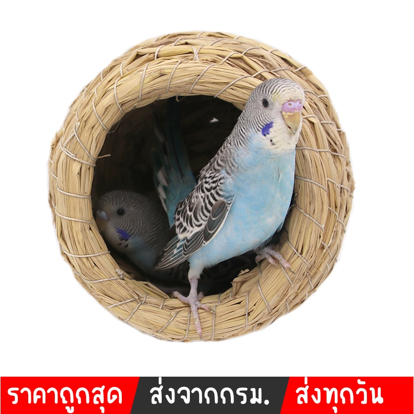 บ้านนกแบบหญ้า บ้านนก บ้านนกทำจากหญ้าธรรมชาติ ระบายความร้อนได้ดี ฟอพัส หงส์หยก นกกรงหัวจุก เลิฟเบิร์ด