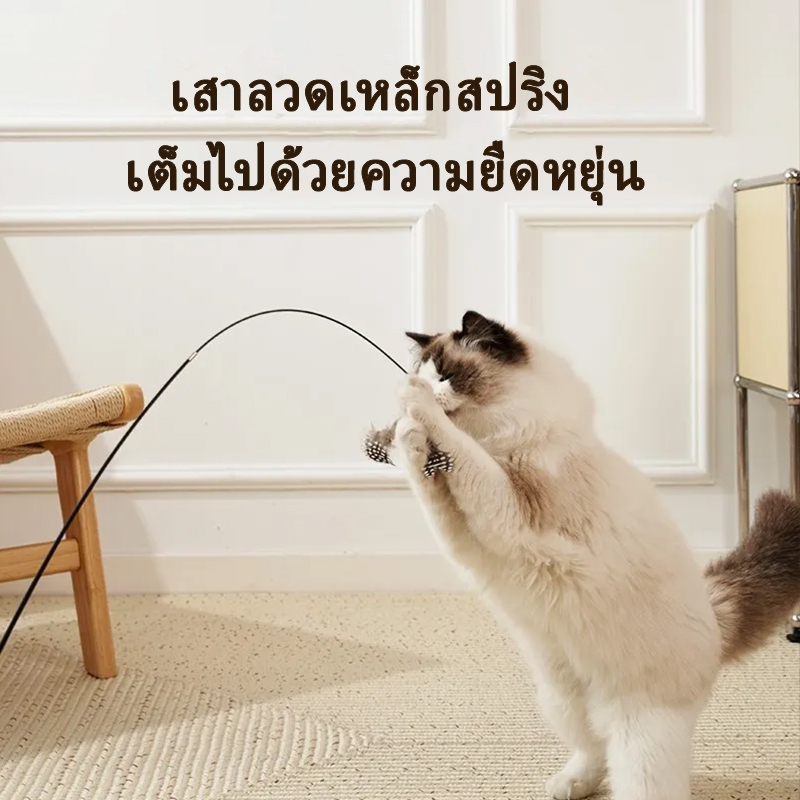 ของเล่นแมว ไม้ตกแมว ไม้ตกแมวแบบสปริง ไม้แมวตั้งพื้นขนนก ไม้ล่อแมว ไม้แหย่แมว