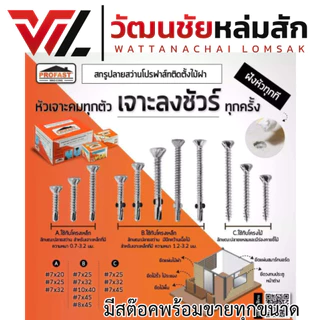 (ราคาต่อกล่อง) Profast โปรฟาส์ท สกรูยึดไม้ฝา ไม้เฌอร่า สกรูปลายสว่านติดตั้งไม้ฝา