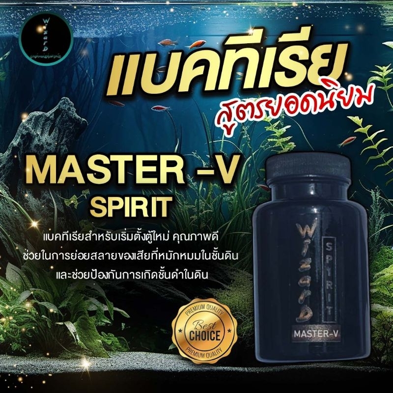 แบคทีเรียรองพื้น WIZARD SPIRIT MASTER-V