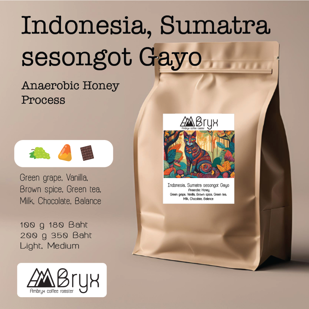 เมล็ดกาแฟ Indonesia Sumatra sesongot Gayo Anaerobic Honey เมล็ดกาแฟคั่ว ไม่บด