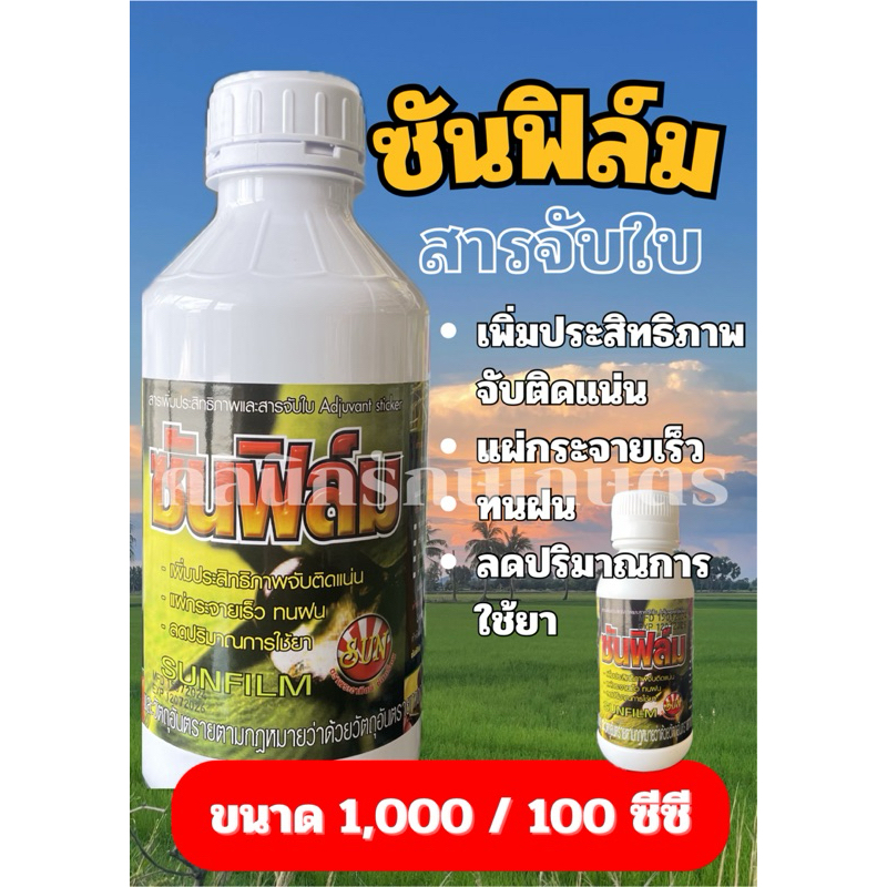 ซันฟิล์ม_สารจับใบ_เพิ่มประสิทธิภาพจับติดแน่น