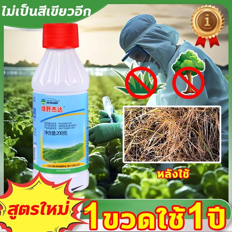 ได้ผลทันทีอย่าง แอบๆ ใช้ได้ในฤดูฝน 1000ml ยาฆ่าหญ้า กําจัดหญ้า ยาคุมหญ้า ยาฆ่ากอไผ่ ยาฆ่าต้นไม้ ไกลโ