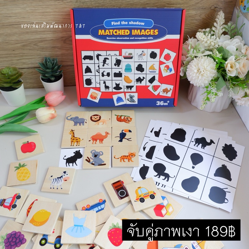 จับคู่ภาพเงา ฝึกความจำ ฝึกการสังเกต ของเล่นเสริมพัฒนาการ (ชุดใหญ่ 189฿)