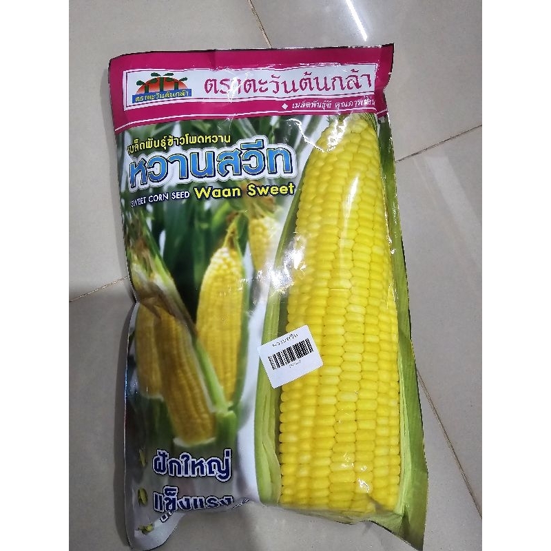 เมล็ดข้าวโพดหวาน หวานสวีท ขนาด 500 กรัม เมล็ดข้าวโพด ตรา ตะวันต้นกล้า โฉมใหม่