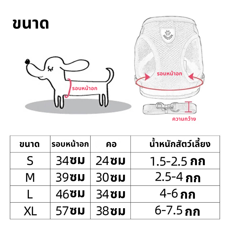 สายจูงแมวพร้อมสายรัดอก ป้องกันการหลุดได้ ปรับได้ ใช้ได้กับแมว สุนัข และกระต่าย - รูปที่ 2