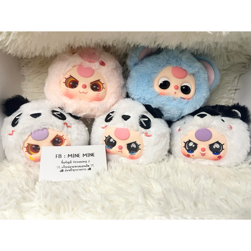 พร้อมส่ง เบบี้ทรี V1 เชคการ์ด/เชคตัว