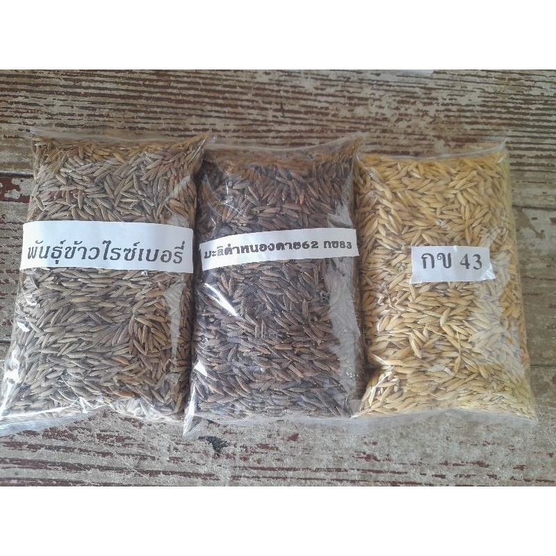 พันธุ์ข้าวชุดทอลอง200กรัมมี3ชนิด คือกข43อายุ95วัน มะลิดำหนองคายอายุ120วัน ไรซ์เบอรี่อายุ120วัน แต่ละ