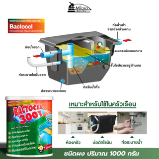 Bactcel 3001 1000กรัม กำจัดไขมัน ท่อตัน ไขมันเต็มบ่อดัก แบคโตเซล จุลินทรีย์ กำจัดกลิ่นเหม็น