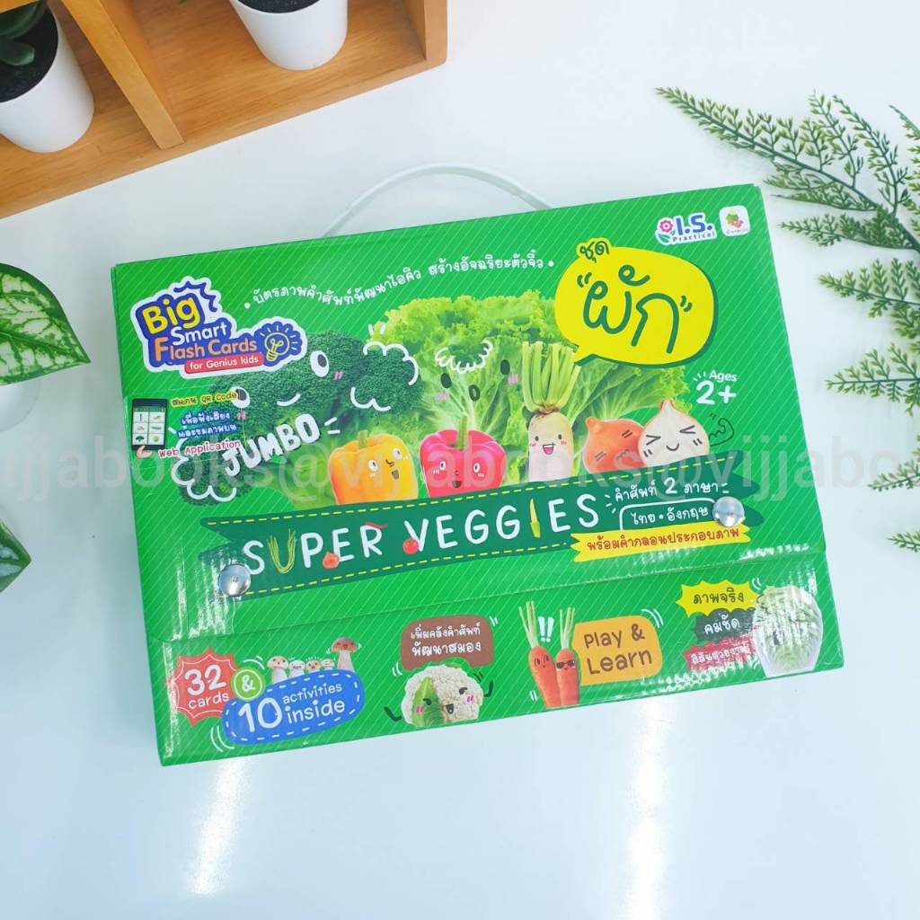 Big Smart Flash Cards for Genius kids บัตรภาพคำศัพท์พัฒนาไอคิว ผัก พลไม้ สัตว์เลี้ยง เลือกเล่มได้ [WS]
