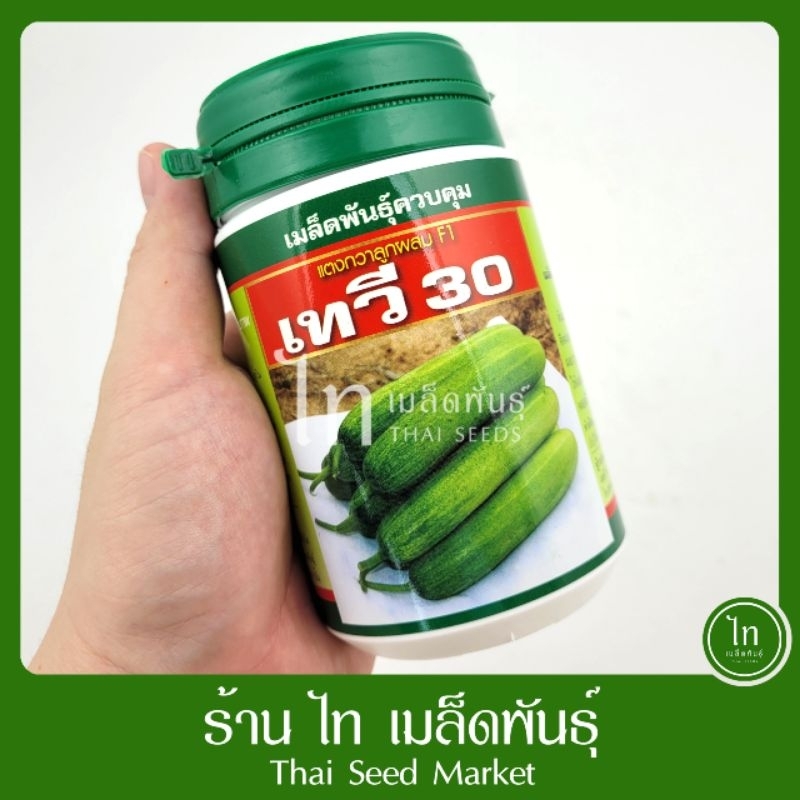 แตงกวา เทวี 30 เมล็ดพันธุ์ แตงกวา ลูกผสม ตรา เสือดาว บรรจุ 100 กรัม