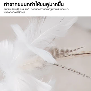 yoyopet : Cat Teaser ไม้ล่อแมว แบบสปริง ของเล่นสัตว์เลี้ยง ไม้ล่อแมว ไม้แหย่แมว แบบตัวดูด ติดพื้น