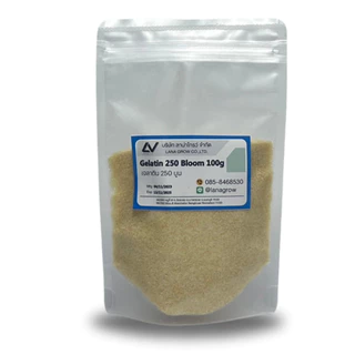 Gelatin 250 Bloom (China) : เจลาติน 250 บูม (จีน) 100g