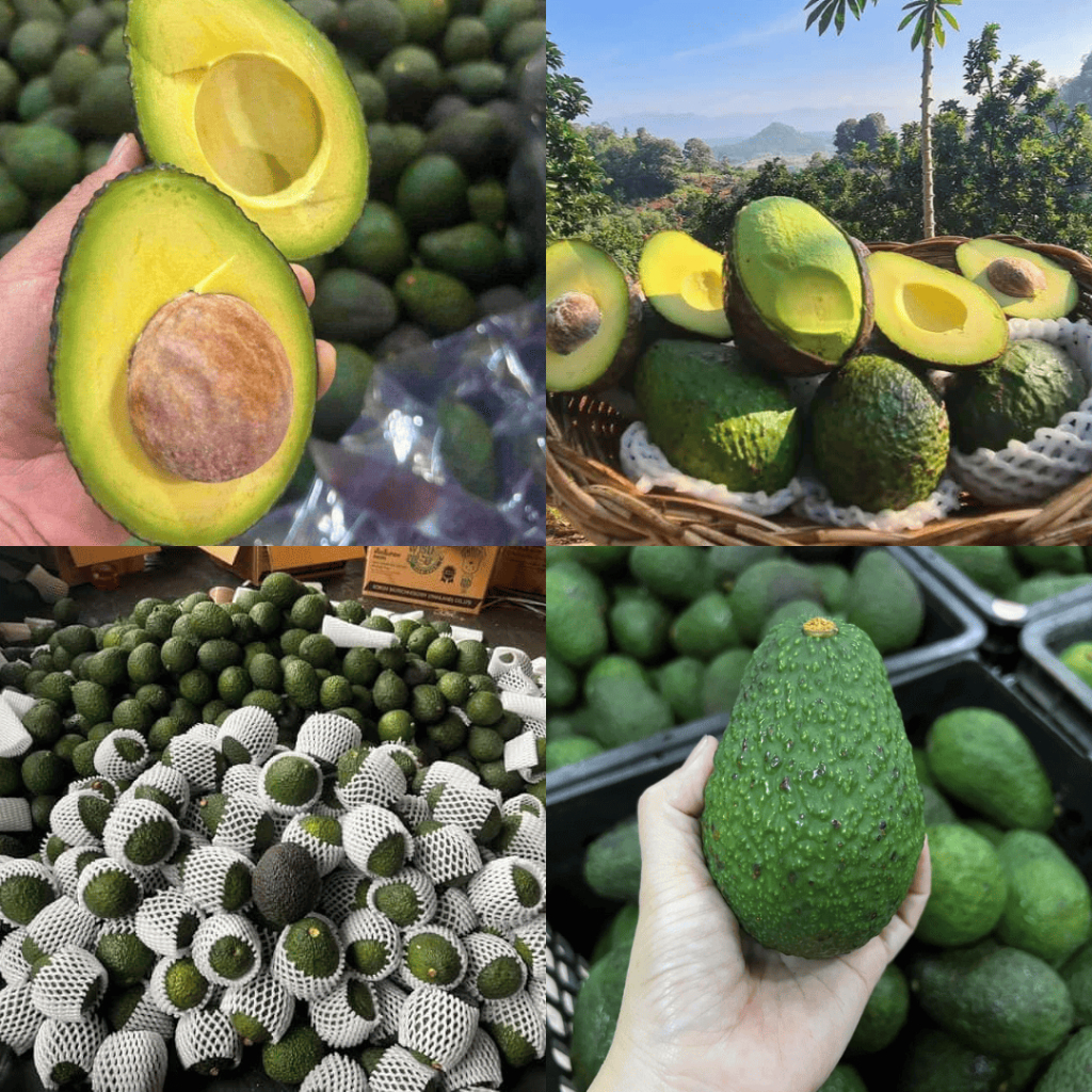 รูปภาพ 2