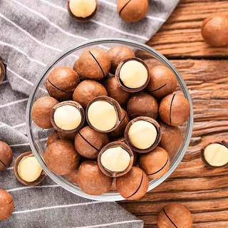 เจ แมคคาเดเมีย อบเนยเม็ดใหญ่เกรดพรีเมี่ยมA++ 500กรัม แถมที่แกะ macadamia สด ใหม่ กรอบ หอม มัน เกรดพรีเมี่ยมA++