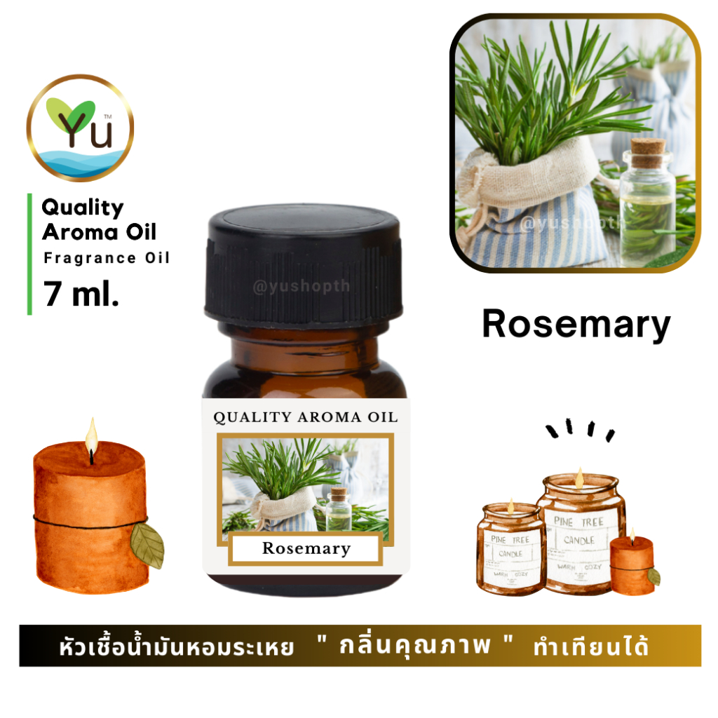 🌟🎁 7 ml. กลิ่น Rosemary (โรสแมรี่) 🌟 หัวเชื้อน้ำมันหอมระเหย กลิ่นคุณภาพ ! Quality Aroma Oil 🌟 เลือกกล่องได้ !