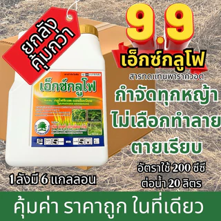 (ยกลัง 6 แกลลอน)เอ็กซ์กลูโฟ กลูโฟซิเนตแอมโมเนียม เก่งทั้งใบแคบ ใบกว้าง สารควบคุมการเจริญเติบโตของวัชพืช