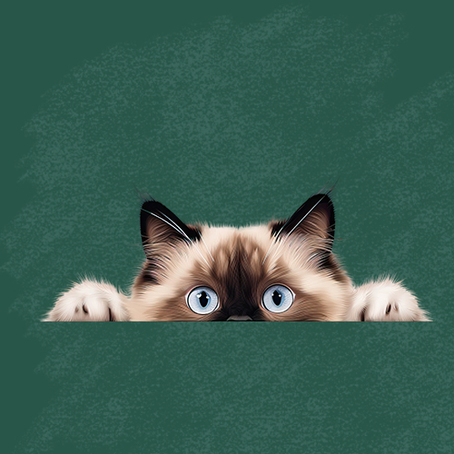 ตัวรีดติดเสื้อ (F.306 )การ์ตูนน้องแมวครึ่งหน้า เซ็ต 2 รีดติดง่ายทุกเนื้อผ้า DIY Patches - รูปที่ 4