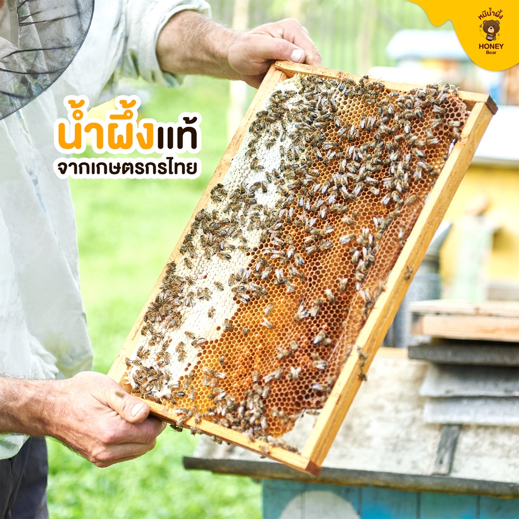 น้ำผึ้งเกสรดอกไม้ป่า HONEY BEAR (11 แถม 1) 1000 กรัม น้ำผึ้งแท้ 100% ไม่มีสารกันบูด ไม่ผสมน้ำตาล มาตรฐาน อย.HACCP HALAL - รูปที่ 6