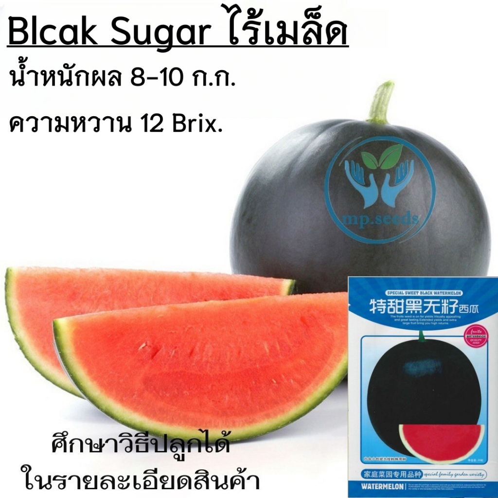 เมล็ดแตงโมดำไร้เมล็ด 30-32 เมล็ด F1***ศึกษาวิธีปลูกได้ที่รายละเอียดสินค้า***Black Sugar ไร้เมล็ด