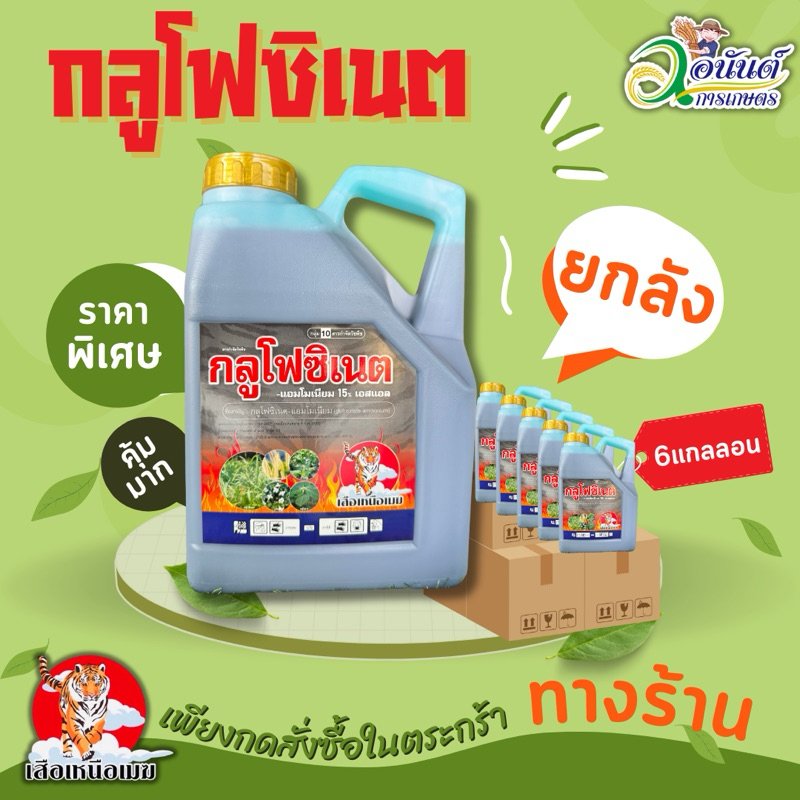 ยกลัง เสือเหนือเมฆ กลูโฟซิเนตแอมโมเนียม 4ลิตร กลูโฟซิเนต (glufosinate) - แอมโมเนียม (ammonium) 15% W/V กำจัดหญ้าทุกชนิด