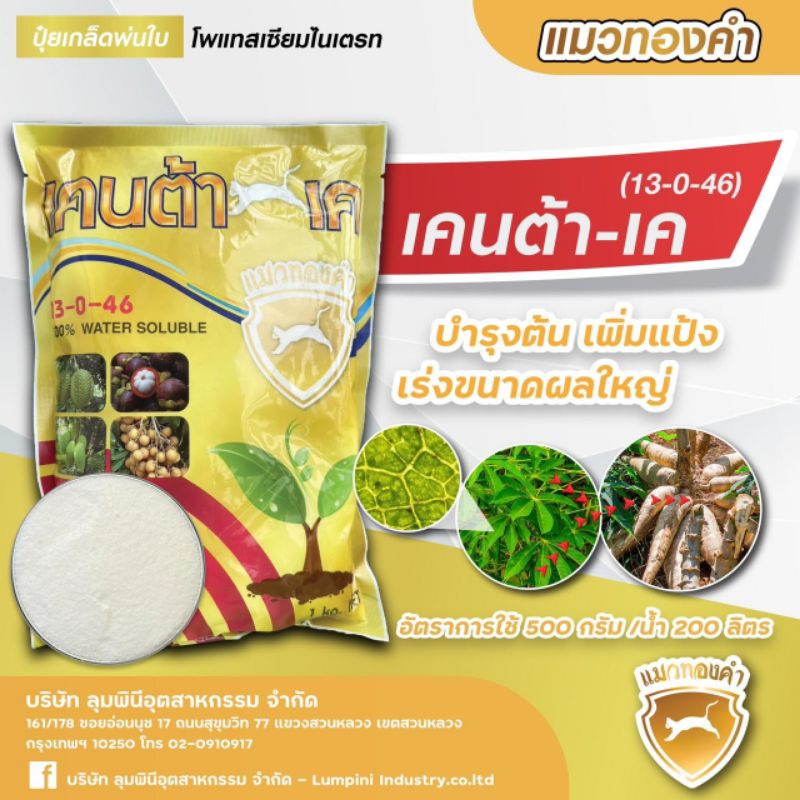 ปุ๋ยเกร็ด 13-0-46 ตราแมวทองคำ โพแทสเซียมไนเตรต  ขนาด1 กิโลกรัม  ต่อถุง สูตรเร่งการสะสมอาหาร ใช้ขยายข