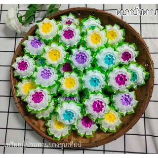 เหรียญโปรยทานดอกบัวดาวตัวเปล่าจำนวน 20 ชิ้น