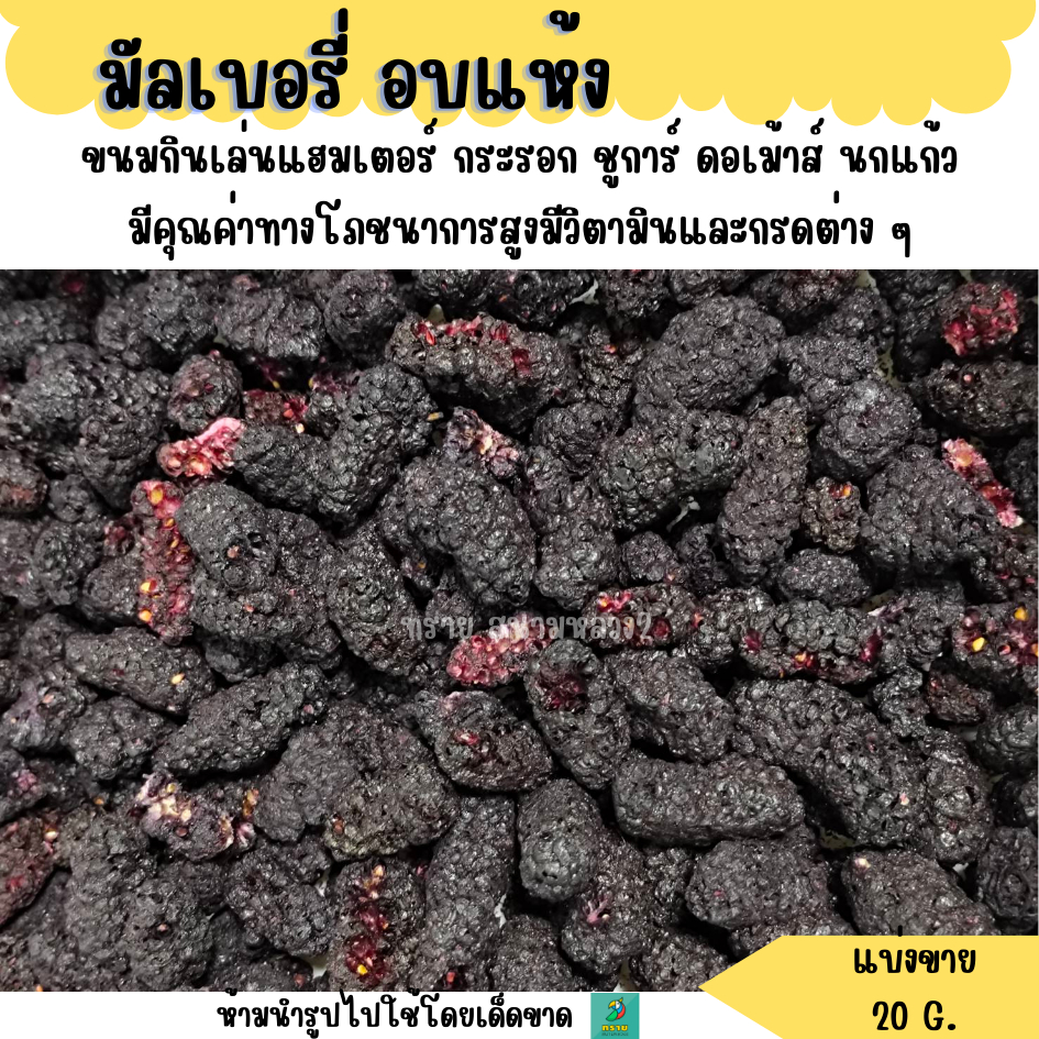 มัลเบอรี่ อบแห้ง (แบ่งขาย 20 G.) ขนมกินเล่นแฮมเตอร์ กระรอก ชูการ์ ดอเม้าส์ นกแก้ว