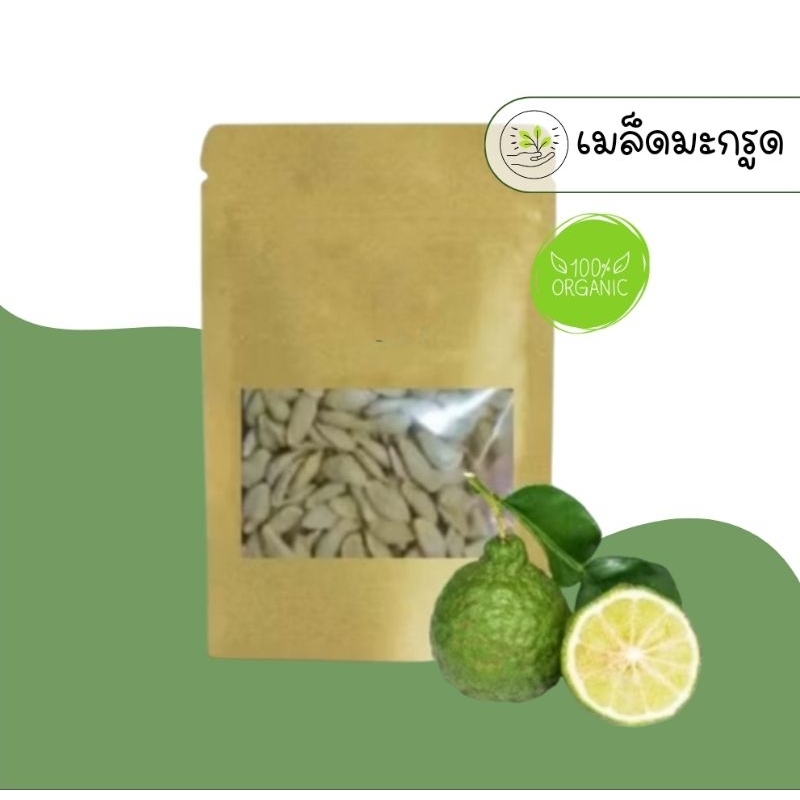เมล็ดพันธุ์มะกรูด (25,50เมล็ด)