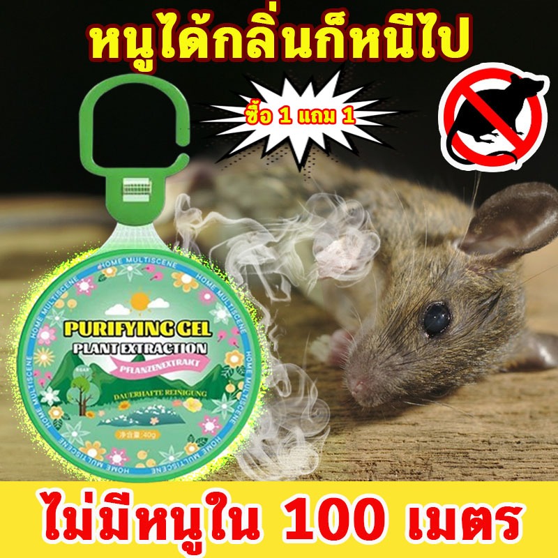 ปลอดหนูตลอดทั้งปี ที่ไล่หนู เจลไล่หนู ก้อนไล่หนู​ กำจัดหนู 40g ใช้ง่าย สูตรพืช ปลอดภัยไร้สารพิษ ก้อนไล่หนูถาวร
