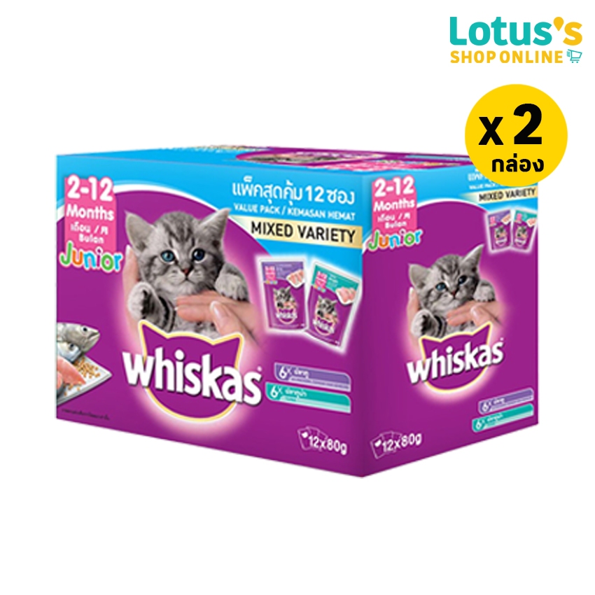 รูปภาพ 4