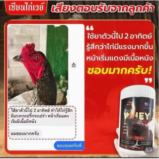 เวย์โปรตีนไก่ วิ่งทน บินดี เสริมกล้ามเนื้อ เล็บแข็งแรง เสริมภูมิคุ้มกัน ( โปร 2 กระปุก 400 เม็ด)
