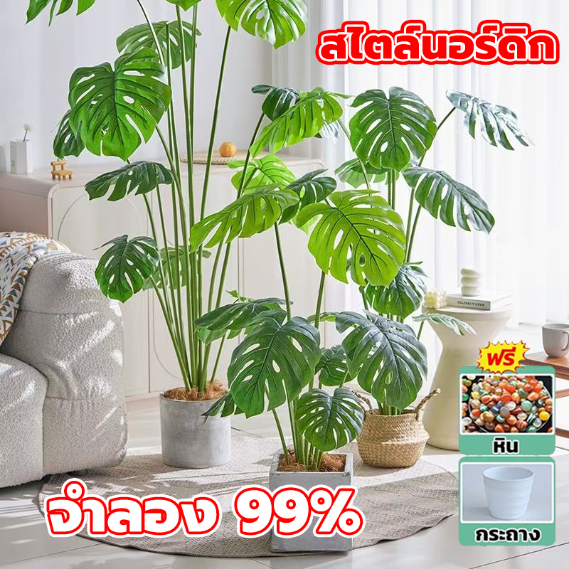 ราคาถูกที่สุด ต้นไม้ปลอม ฟรีกระถางดอกไม้ต้นไม้+หินตกแต่ง ความจำลอง 99% ไร้กลิ่น สไตล์นอร์ดิก ต้นไม้มงคล ฟอร์มสวย
